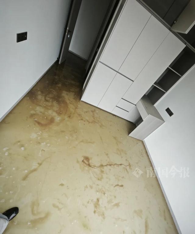 崩溃：全屋都是无法接受婚房被粪水浸泡！业主(图5)
