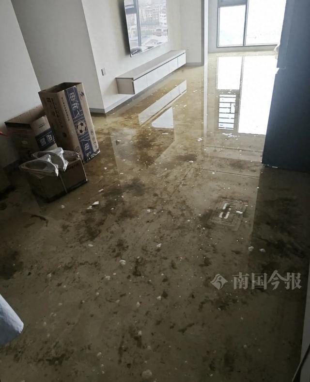 崩溃：全屋都是无法接受婚房被粪水浸泡！业主(图6)