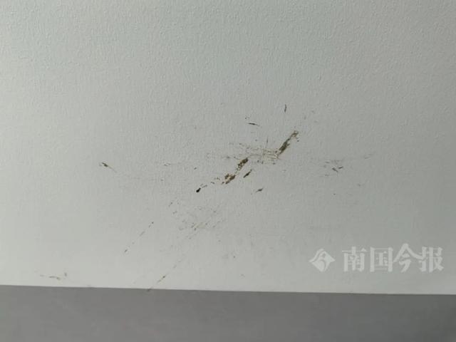 崩溃：全屋都是无法接受婚房被粪水浸泡！业主(图4)