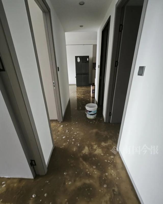 崩溃：全屋都是无法接受婚房被粪水浸泡！业主(图11)