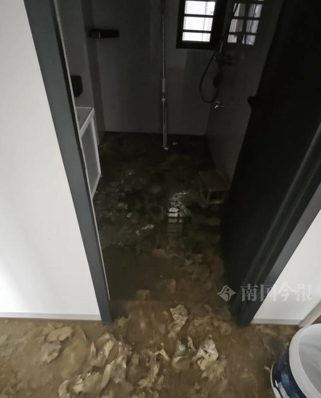 崩溃：全屋都是无法接受婚房被粪水浸泡！业主(图7)
