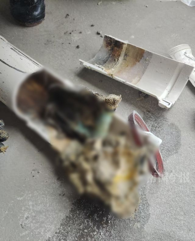 崩溃：全屋都是无法接受婚房被粪水浸泡！业主(图10)